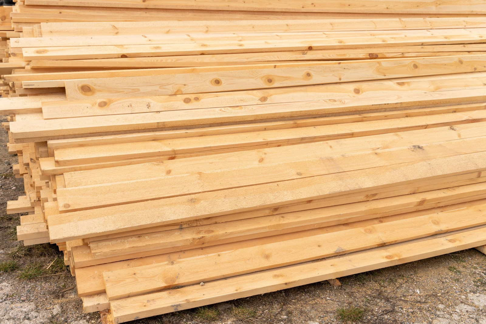 CTA: Se hvad vi tilbyder 